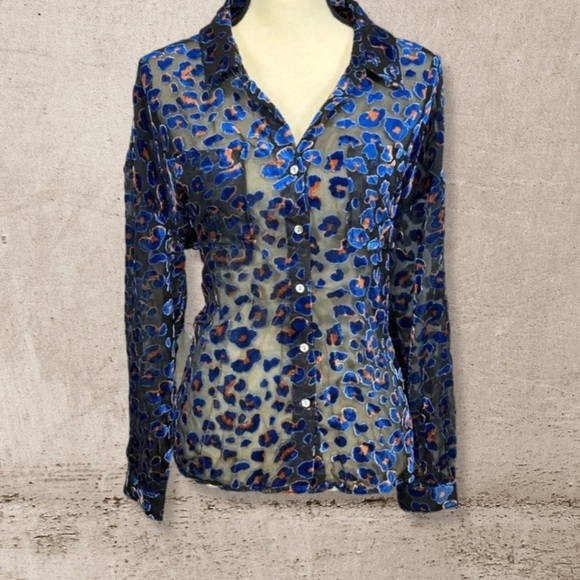 Dear John Sheer Blouse NWT - Picture 1 of 4